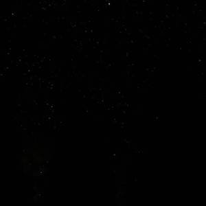 日本视频特黄AAA
