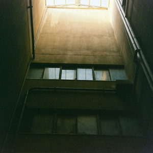 日本视频特黄AAA
